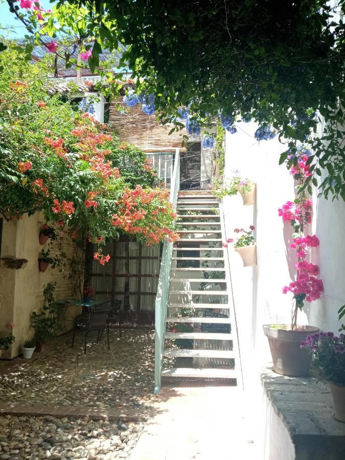 Patio Del Limonero Apartment Cordoba Exterior photo
